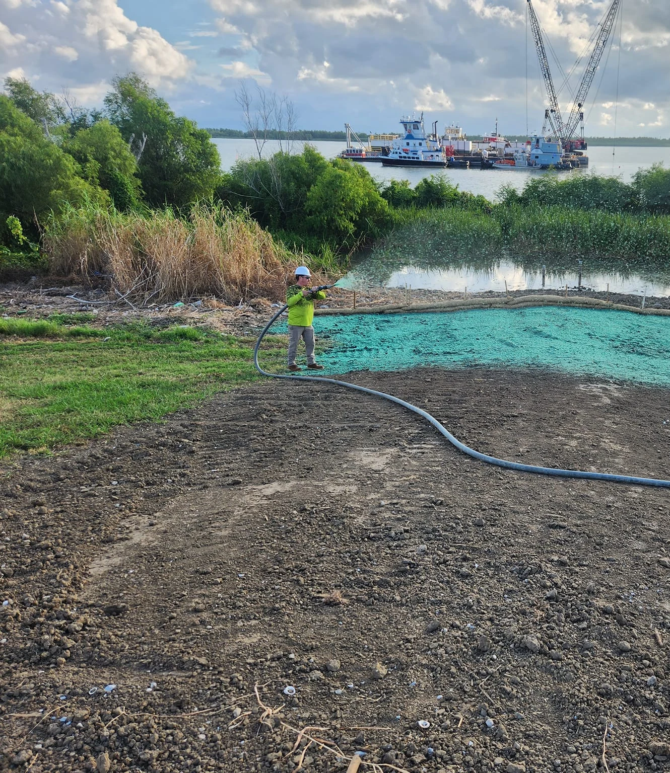 Established vegetation protecting a waterway bank after reinforced erosion-control work